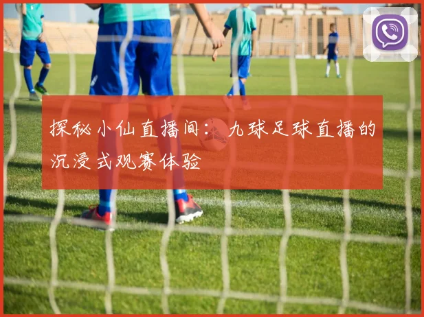探秘小仙直播间：九球足球直播的沉浸式观赛体验