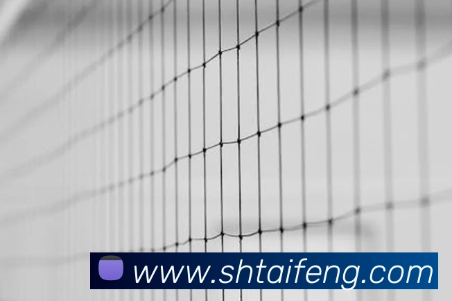 6868体育官网登录品牌故事